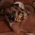 David Duperon's profile image