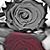 Kari Carrillo's profile image