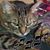 Audrey Wiesenauer's profile image