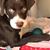 Tina Arnce's profile image