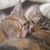 Karen Jones Smith's profile image