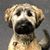 Topher Morris's profile image