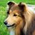 Cathy Ammlung's profile image