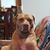 Tom Crossen's profile image