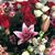 Terri Wells-Smith's profile image