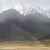 Paula Miller Piatt's profile image