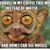 Rana Rizk's profile image