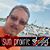 Greg Sanchez's profile image