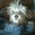 Ann Lester's profile image