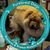 Jan S Reed's profile image
