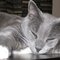 Val P.'s profile image