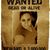 Alejandra Estrada's profile image