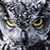 Steve Sober's profile image