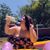 Nicole Capps's profile image