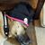 Laurie Tecza's profile image