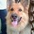 Merle Edwards's profile image