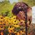 Ashley Ann McGillicuddy's profile image