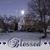 Carolyn P. Atkins's profile image