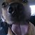 Raymond A Chandler III's profile image