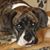 Catherine Ann Miller's profile image