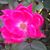 Juan Garcia's profile image