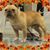 Beth Tynes Williams's profile image