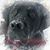 Lori Jandreau's profile image