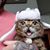 Doug Wagoner's profile image