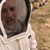 Mike Immer's profile image