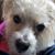 Cathy McAulay's profile image