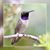 Edward Holtgraver's profile image
