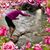 Lynette Pulaski Barrett's profile image