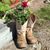 Tiina Brander Paananen's profile image