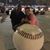 Michelle Brown's profile image