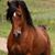 Cheri Baierski's profile image