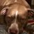 Tammy Stgeorge's profile image