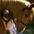 Jennifer Rapp's profile image