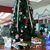 Sandra Marisol Flores Isaac's profile image