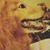 Dustin Wysong's profile image