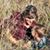 Elise Kormas-Tobler's profile image