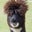 Any GrumpyHair's profile image