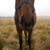 Marsha Dearden's profile image