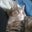 Anna Amatrice's profile image