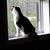 Julie Lynn's profile image