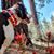 Gail Lampman Morrison's profile image