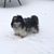 Bobbi-Joe Bruner's profile image