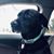 Kelly Youndt Zimmerman's profile image