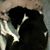 Michele Tunison Myers's profile image