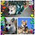 Cindy Sandmire's profile image