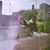 Dawn Charlebois Iler's profile image